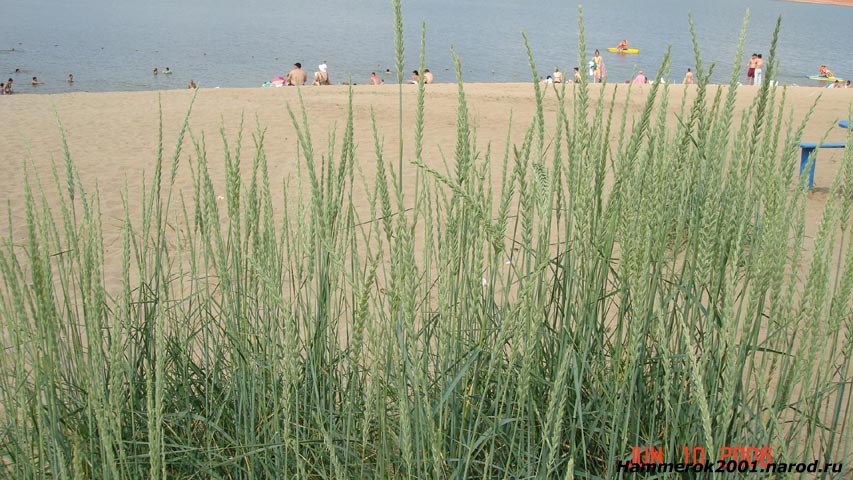 Пляж актюбинского водохранилища